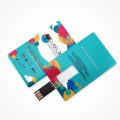 Credit Card USB pendrive - Sample Print USM Nilai